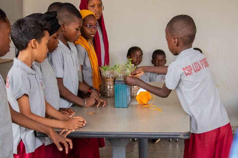 Élèves présentant leurs expériences de plantation